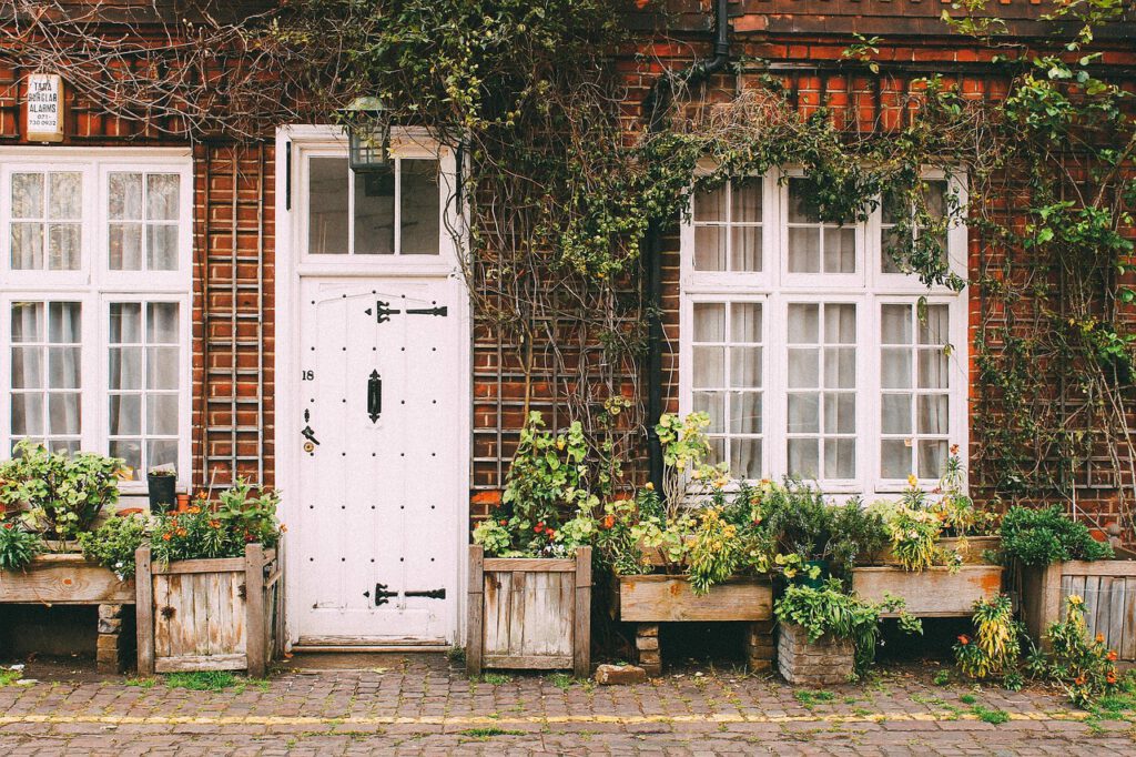 house, home, door, sidewalk, cobblestone, bricks, vines, plants, brown home, brown house, brown plant, brown door, brown plants, house, house, house, home, home, nature, home, home, home, door, door, door